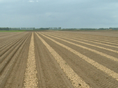 Nieuwe aardappelrooier met vele opties